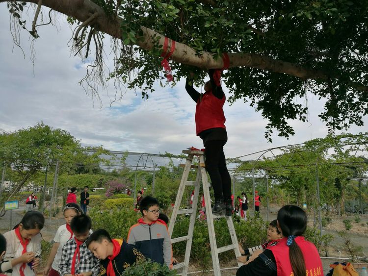 微信图片_20171225021912.jpg